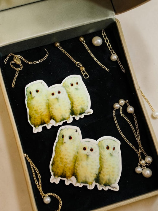 Owl Babies